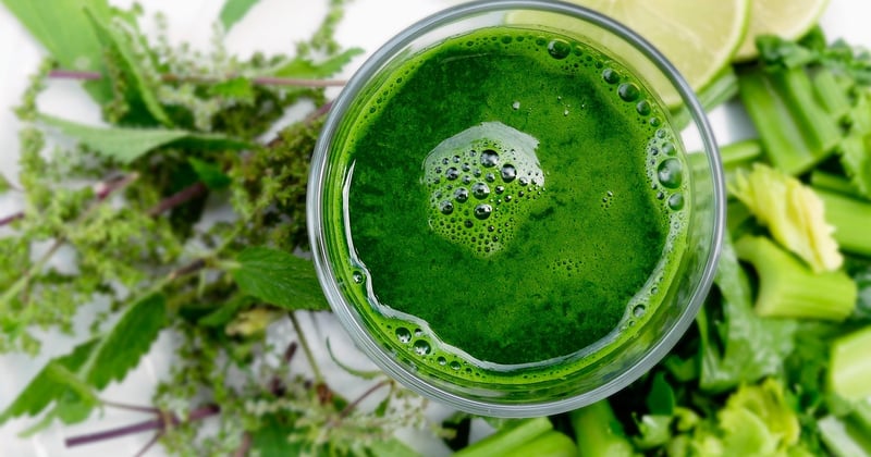 10 recettes saines pour renforcer votre système immunitaire au quotidien