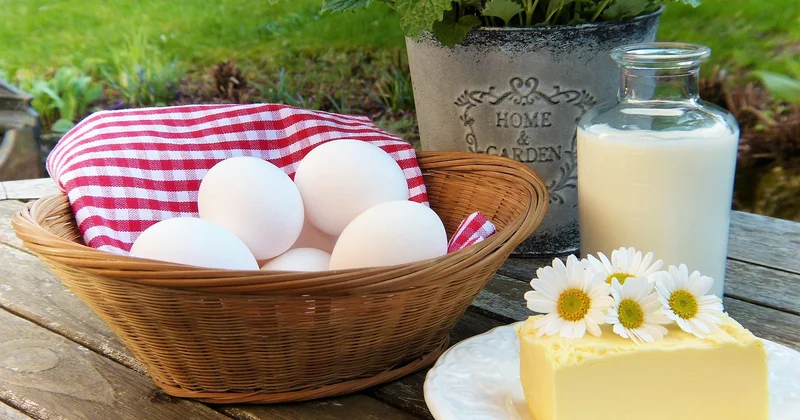 Les protéines et le calcium : deux piliers souvent négligés dans les discours courants
